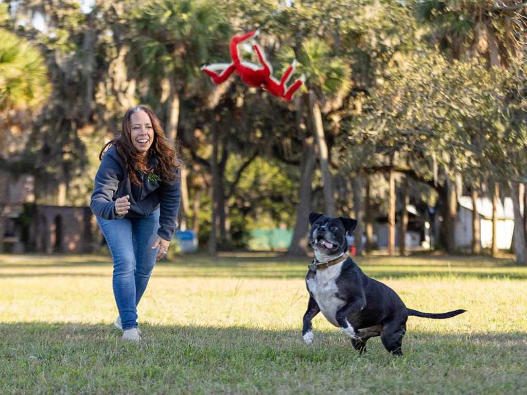 Woman throwing a toy in the air for a black and white dog in the park