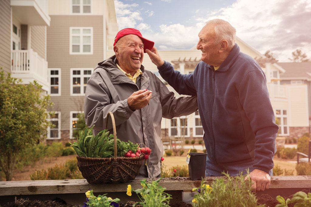 elderly men laughing and gardening