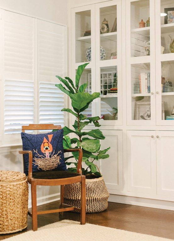 Chair and plant in front of white built-in shelves