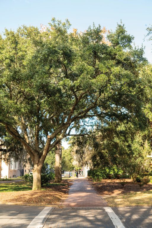 Taylor Square in Savannah, Georgia