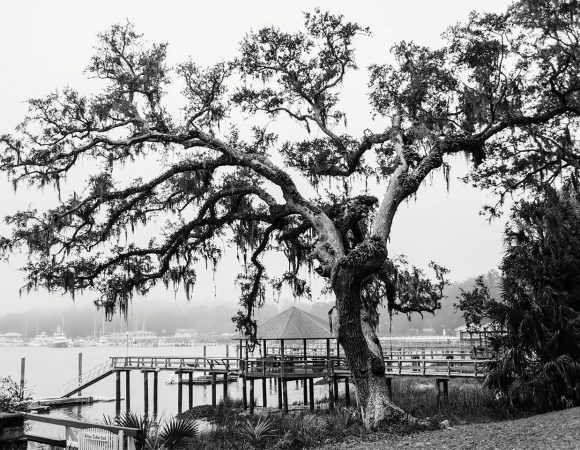 foggy riverbank and boat dock